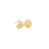 Small Seashell Textured Earrings (K47A)
