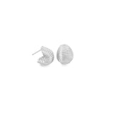 Small Seashell Textured Earrings (K47A)