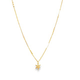 18K Gold Filled Star Pendant Delicate Fringe Choker (G4)
