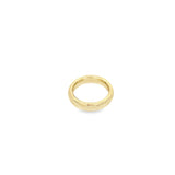 Ring Band (D60)