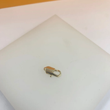 17mm Rectangle Lobster Claw Clasp (XX14)