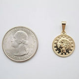Shiny Heads Coin