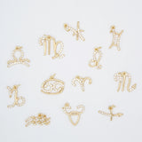 Dainty Astrology Zodiac Signs Pendant Charms (A341)