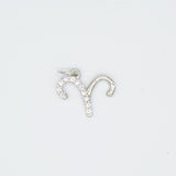 Dainty Astrology Zodiac Signs Pendant Charms (A341)
