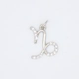 Dainty Astrology Zodiac Signs Pendant Charms (A341)