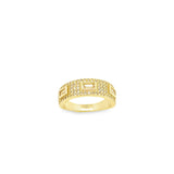 Paved Baguette CZ Band Ring (D13)