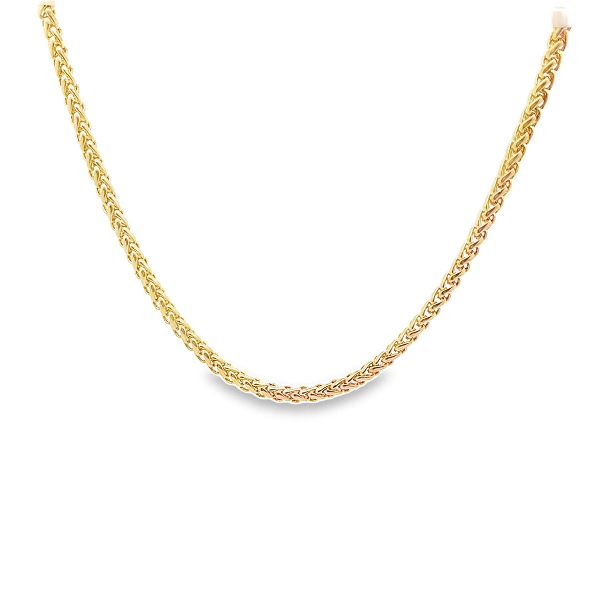 A shimmering gold wheat chain necklace arches gracefully against a plain white background.