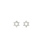 CZ Paved Star of David Earrings (L263B)