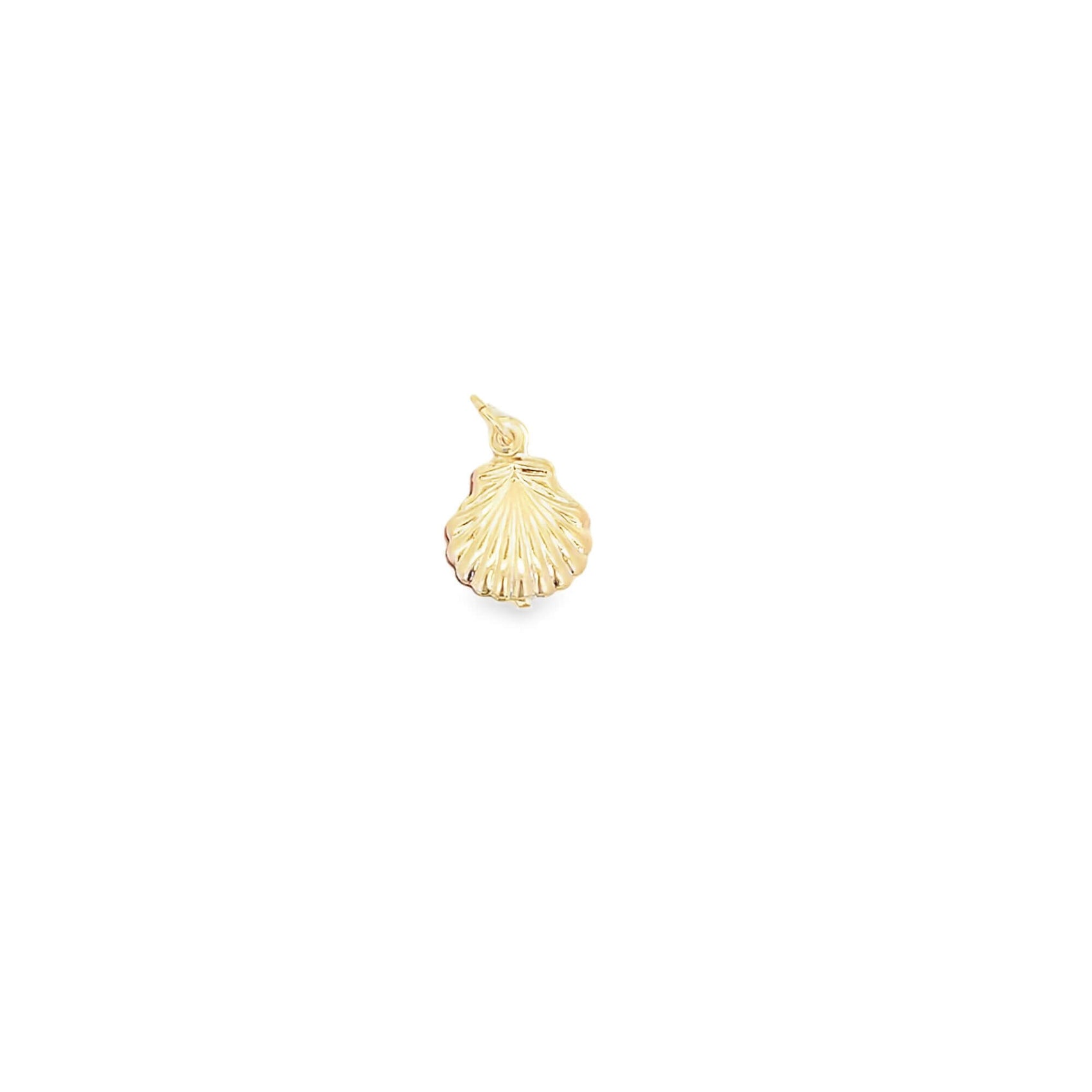 A delicate gold seashell pendant gleams against a plain white background.