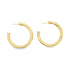 A pair of polished gold hoop earrings rests against a clean white background.