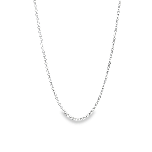 A delicate silver rolo link chain necklace hangs against a plain white background.