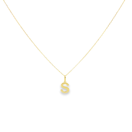 A delicate gold chain necklace displays a polished letter S pendant.