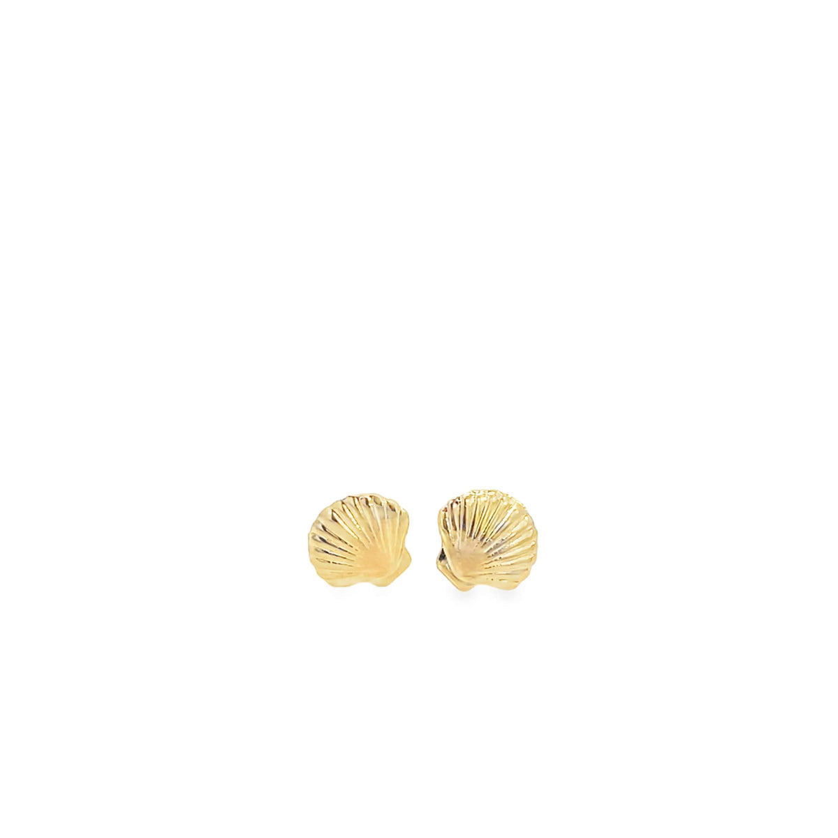 A pair of textured gold seashell stud earrings rests against a clean white background.