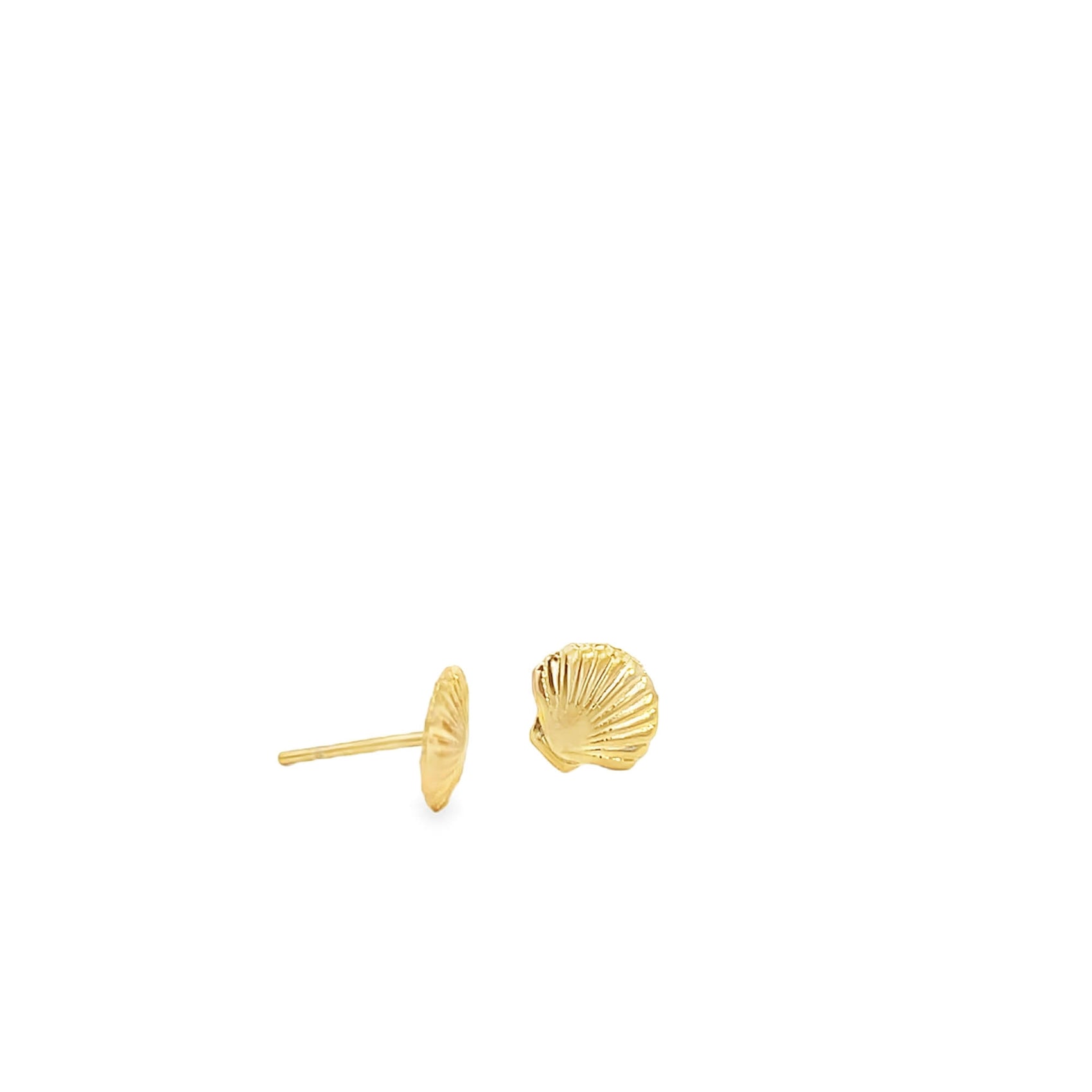 A pair of gold seashell stud earrings rests against a white background.
