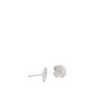Tiny Seashell Stud Earrings