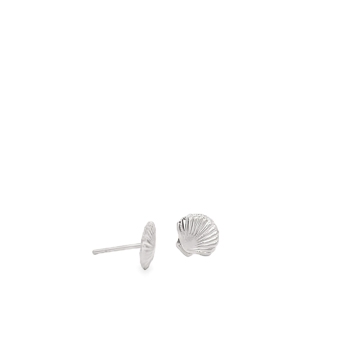 A pair of sterling silver seashell stud earrings rests against a clean white background.