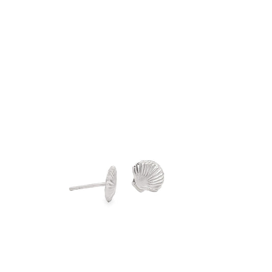 A pair of sterling silver seashell stud earrings rests against a clean white background.