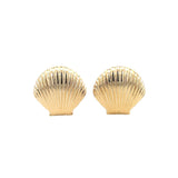 Clam Shell Push Back Earrings (L472A)