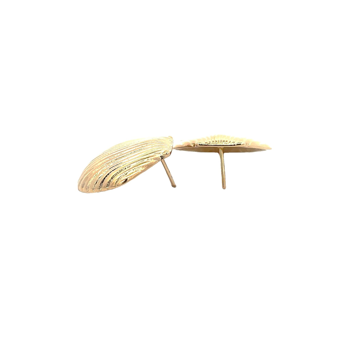 A pair of textured gold seashell-shaped stud earrings rests against a clean white background.
