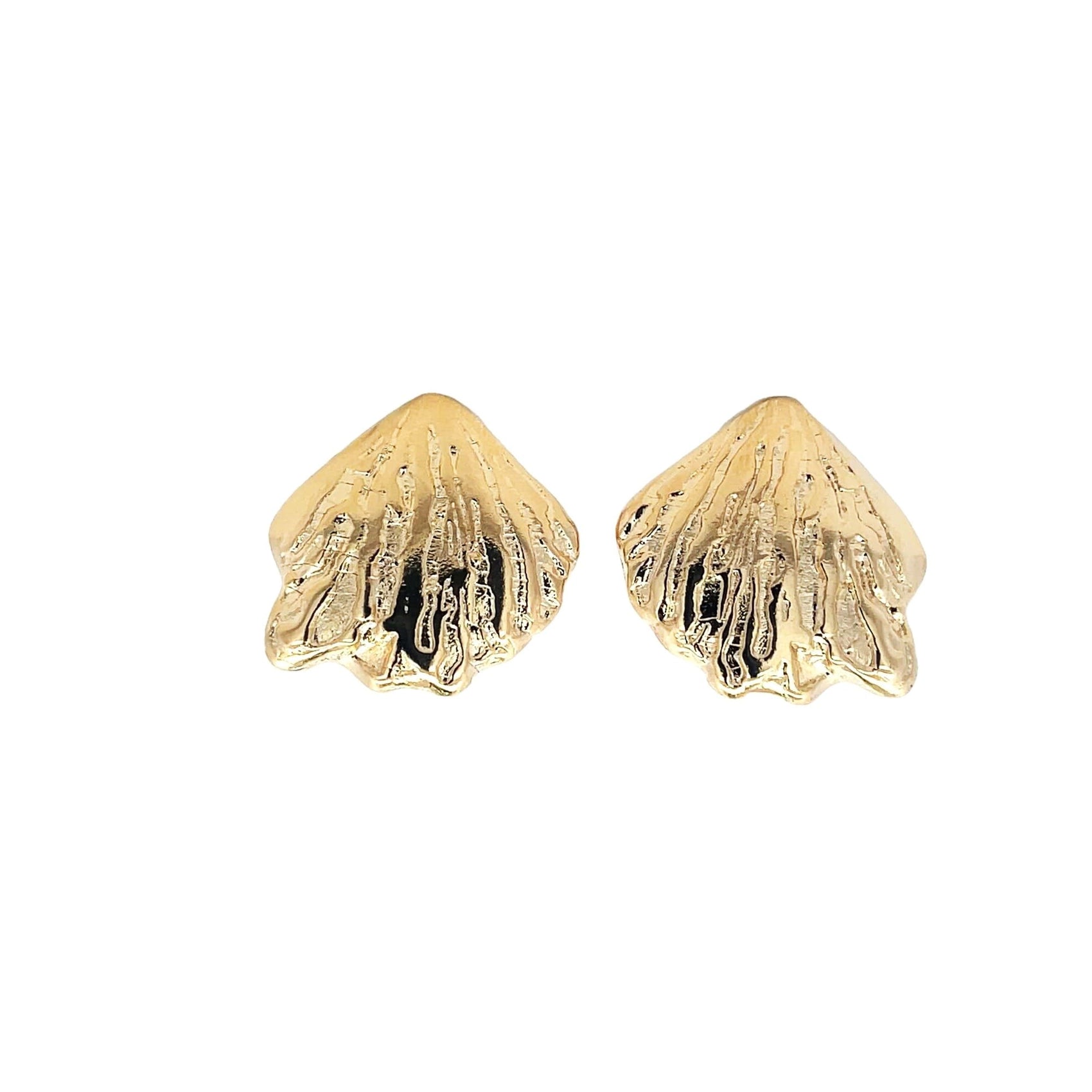 A pair of gold seashell stud earrings glistens against a plain white background.