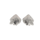 Hard Shell Clam Push Back Earrings (L473A)