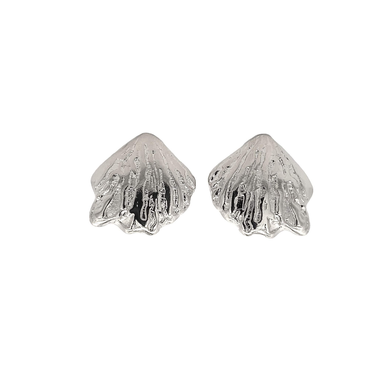 A pair of gleaming silver seashell earrings display intricate, textured ridges against a clean white background.