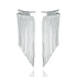 A pair of gleaming silver fringe tassel earrings hang against a clean white background.