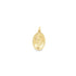A polished gold Miraculous Medal pendant hangs against a clean white background.