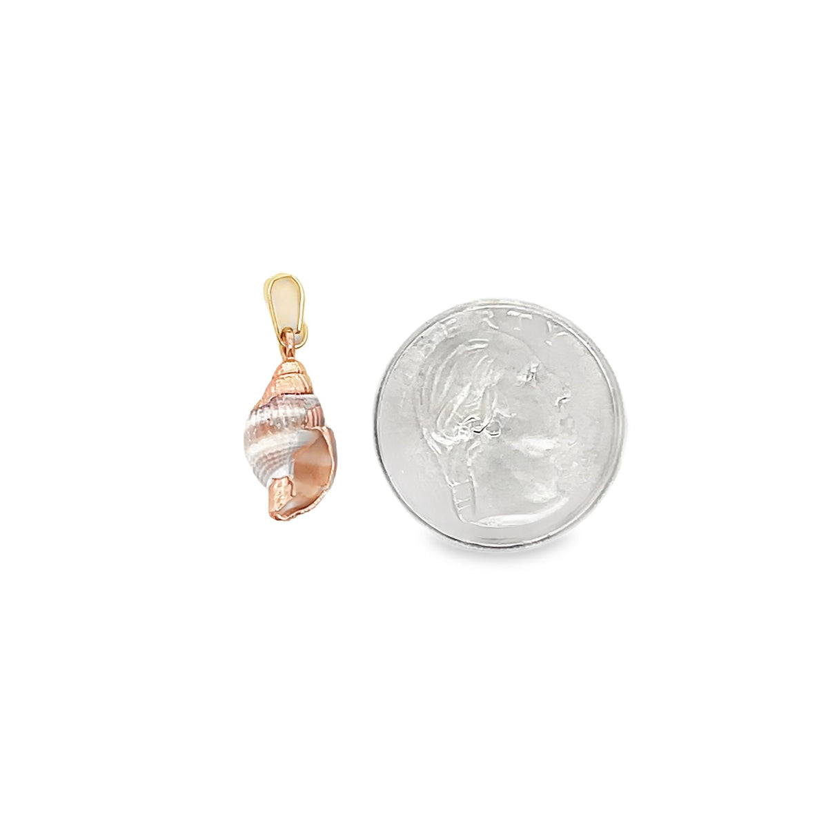 A delicate rose gold seashell pendant rests beside a US dime for scale.