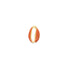 A gold and orange enamel cowrie shell charm rests against a white background.