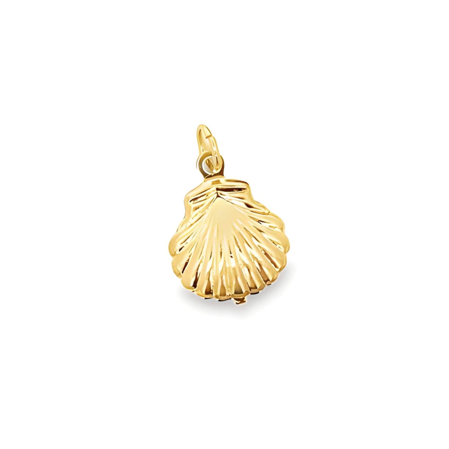 A polished gold seashell pendant with fluted ridges hangs against a clean white background.
