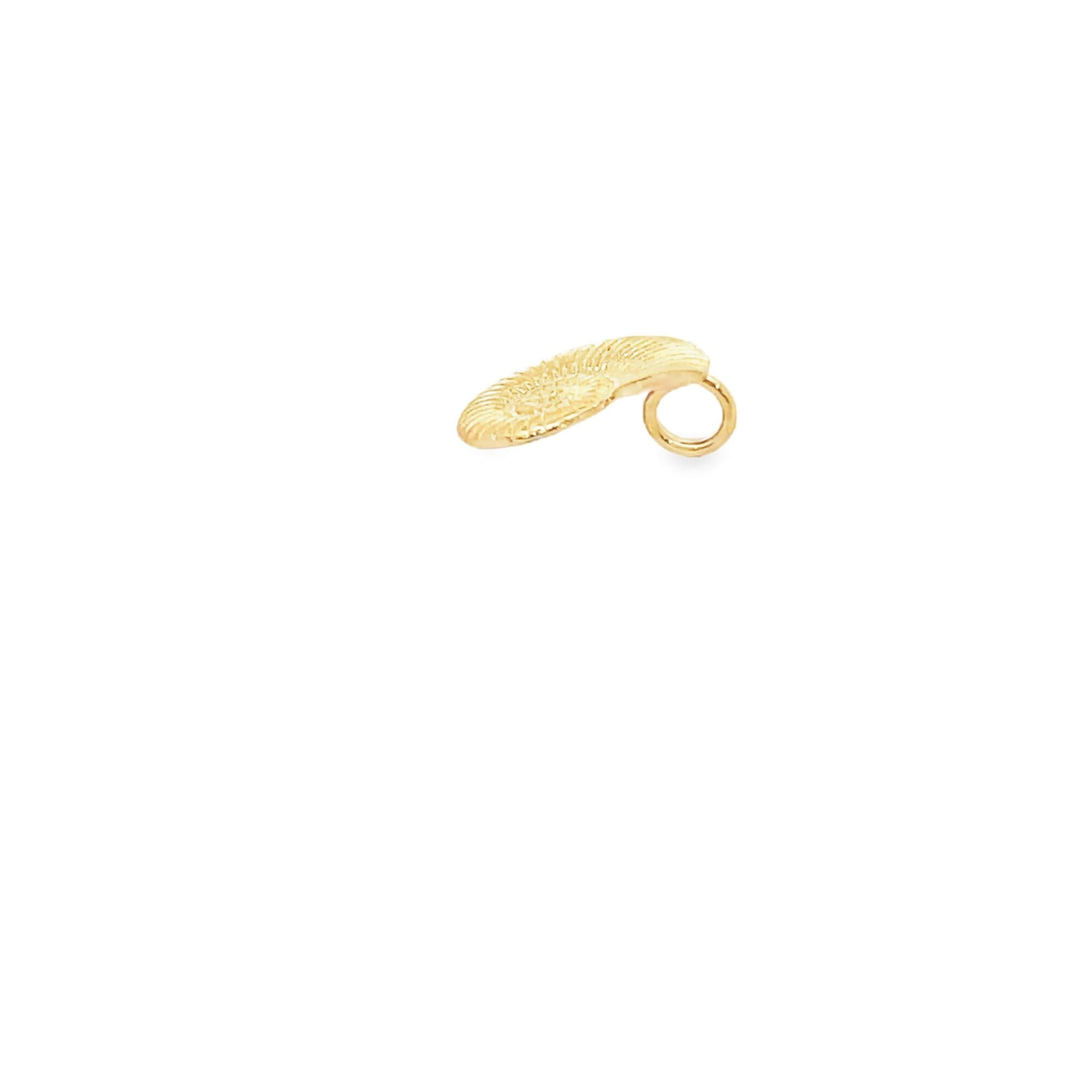 A textured gold coin pendant rests on a clean white background.