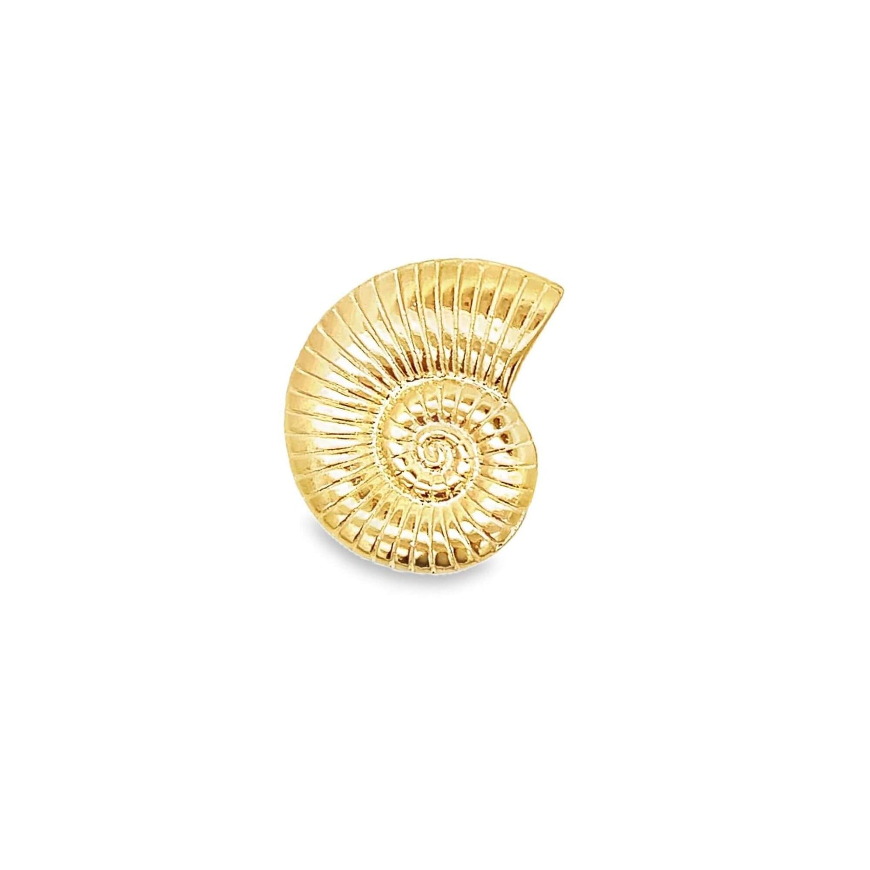 A gold ammonite fossil earring stud gleams against a clean white background.