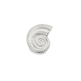 Large Seashell Pendant (A323)