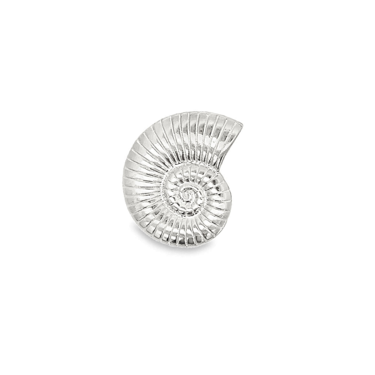 A silver ammonite fossil stud earring features a detailed spiral shell design on a clean white background.