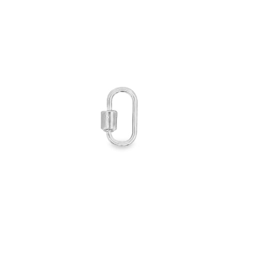 A shiny silver screw-lock carabiner charm rests on a clean white background.