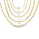 Paper Clip Chain Anklet (E162-E166)