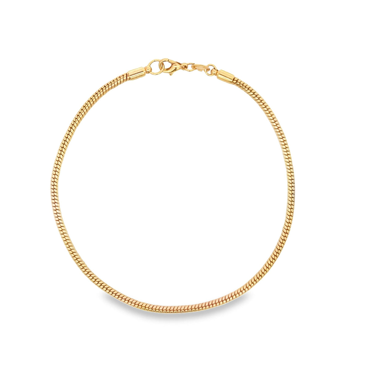 A sleek gold snake chain necklace rests in a neat circle against a clean white background.