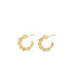A pair of shiny gold twisted hoop earrings rests on a clean white background.