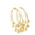 A pair of elegant gold hoop earrings features delicate coin charms dangling from double-band hoops against a clean white background.