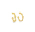 A pair of gold hoop earrings featuring a textured cowrie shell design rests against a clean white background.