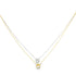 A layered two-tone necklace features a delicate yellow gold chain with a bezel-set diamond pendant resting above a matching white gold chain and diamond pendant.