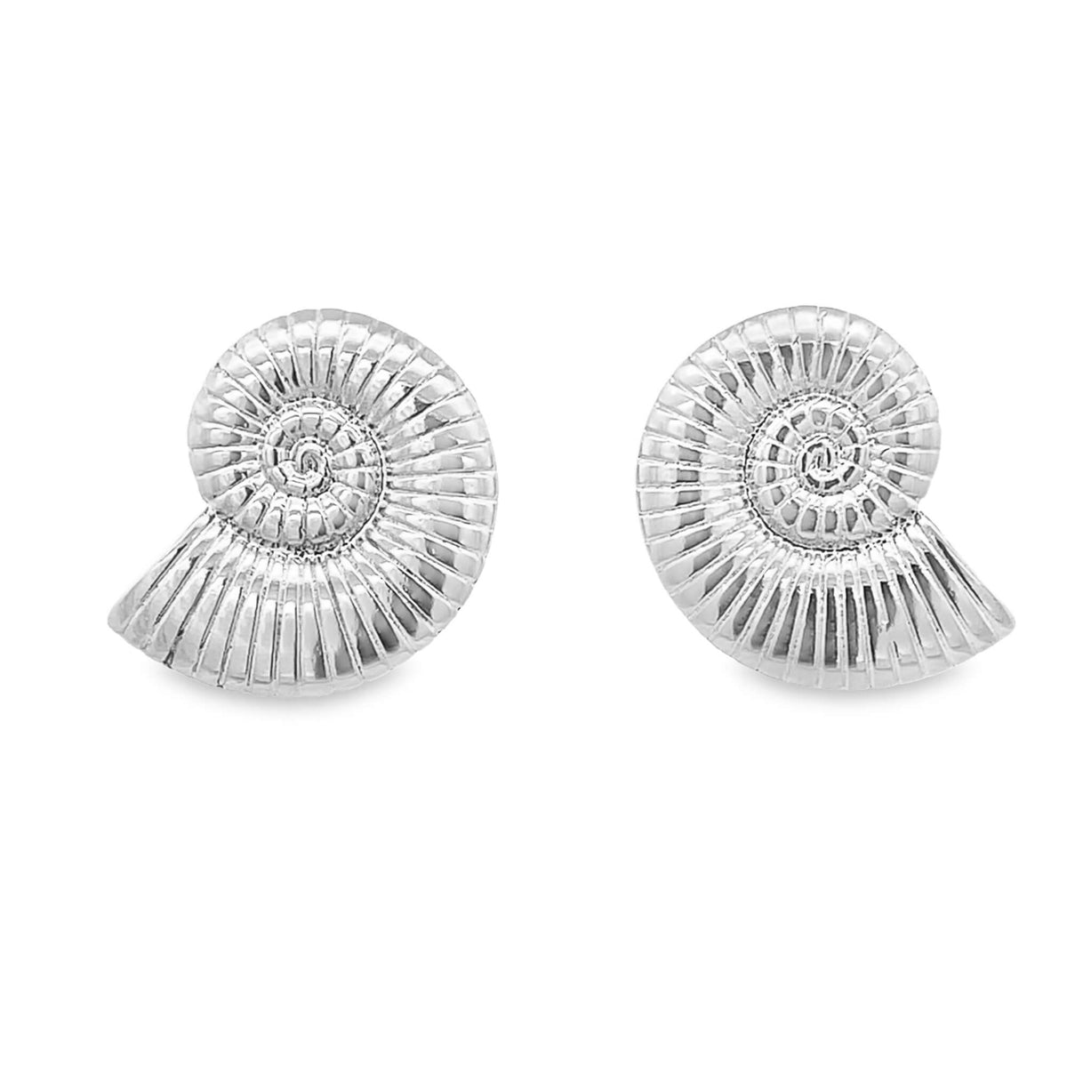 A pair of polished silver ammonite fossil stud earrings gleams against a white background.