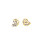 Sea Shell Swirl Earrings