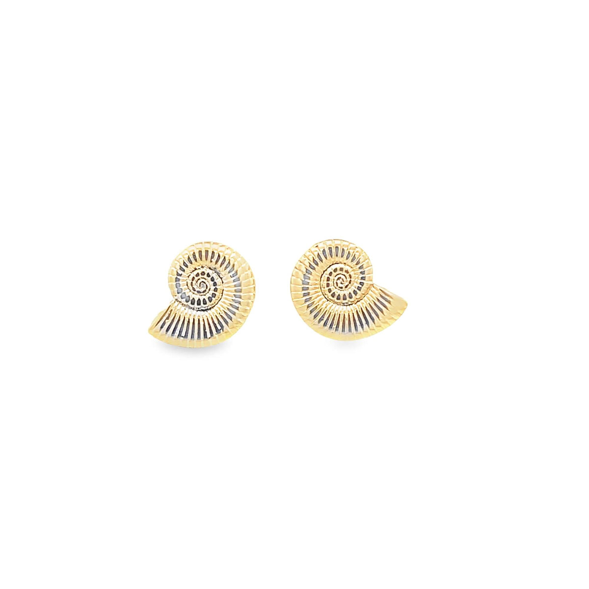 A pair of gold and silver ammonite fossil stud earrings rest against a clean white background.