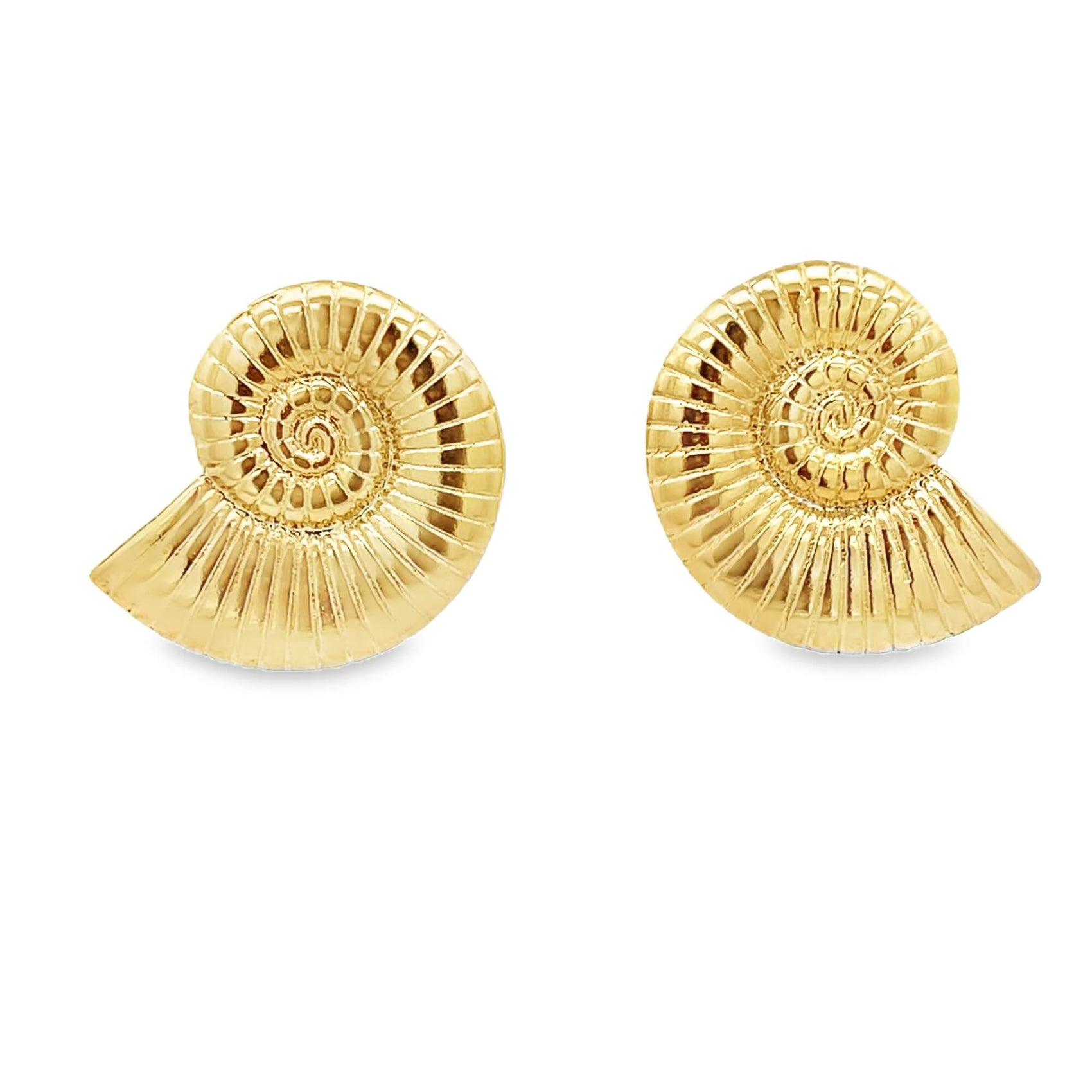 A pair of polished gold ammonite fossil earrings rests against a clean white background.