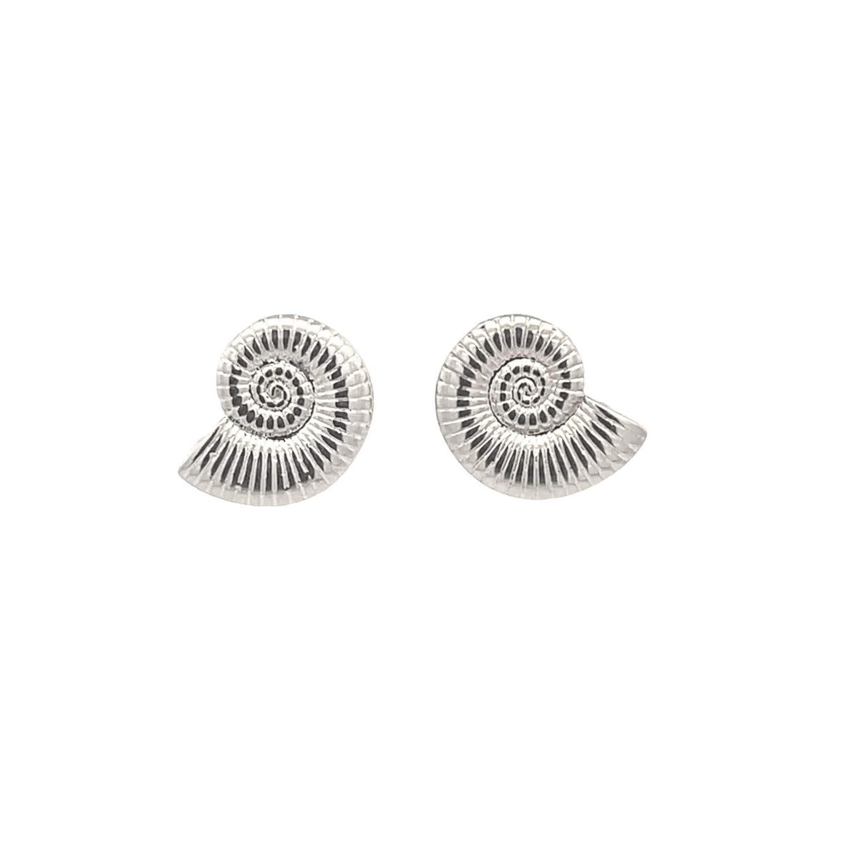 A pair of silver ammonite fossil stud earrings features intricate spiral shell designs.