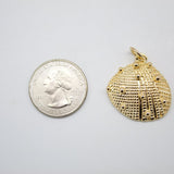 18K Gold Filled Sea Shell Pendant (A14)