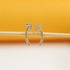 A pair of gold horseshoe-shaped crawler earrings encrusted with sparkling cubic zirconia stones rests delicately on a thin wooden stick against a warm gradient background.