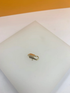 A small gold lobster clasp rests centered on a white display surface.